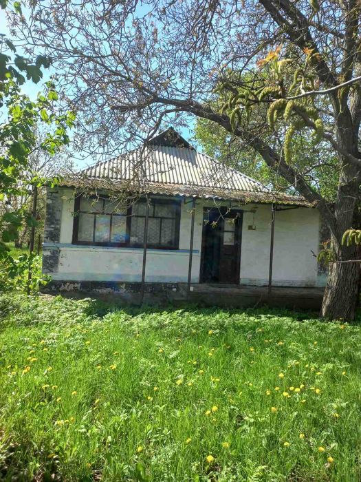 Продаж добротного будинку із земельною ділянкою в с. Шевченкове