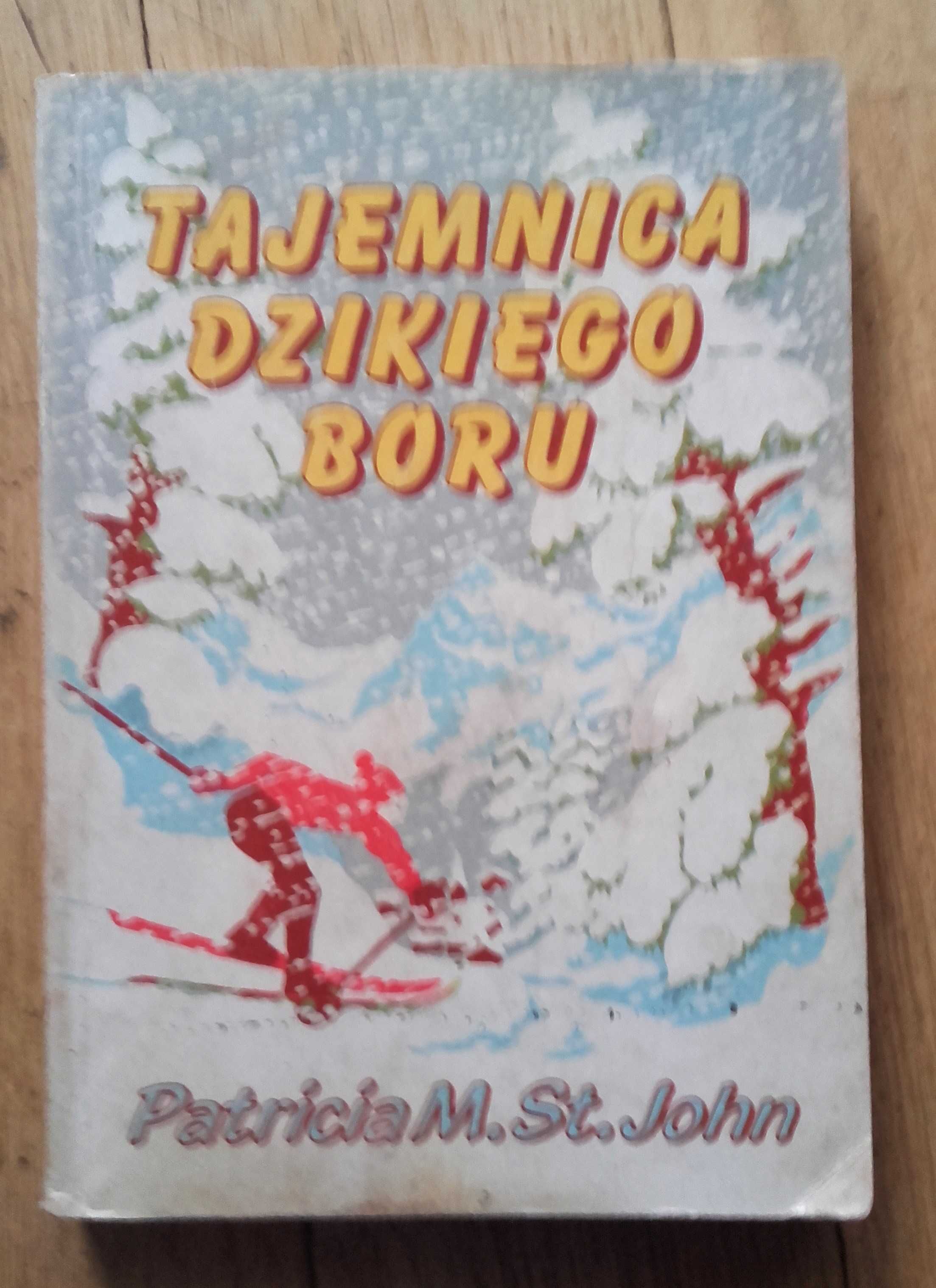 Tajemnica Dzikiego Boru - Patricia M. St. John