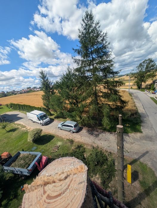Wycinka i pielęgnacja drzew, ogrodnik, odśnieżanie dachów, frezowanie