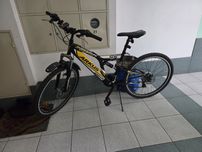 Rower Arkus Graffiti 505