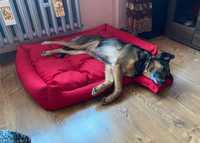 Komfortowe NOWE legowisko dla psa mocny materiał + GRATIS poduszka