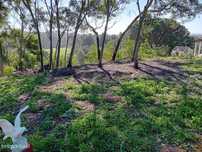 Terreno Agrícola com Vista Mar – Cabeço de Águia, Rogil (Aljezur)