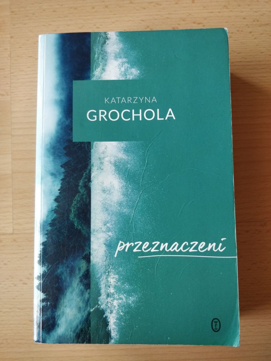 Książka Przeznaczeni - Katarzyna Grochola