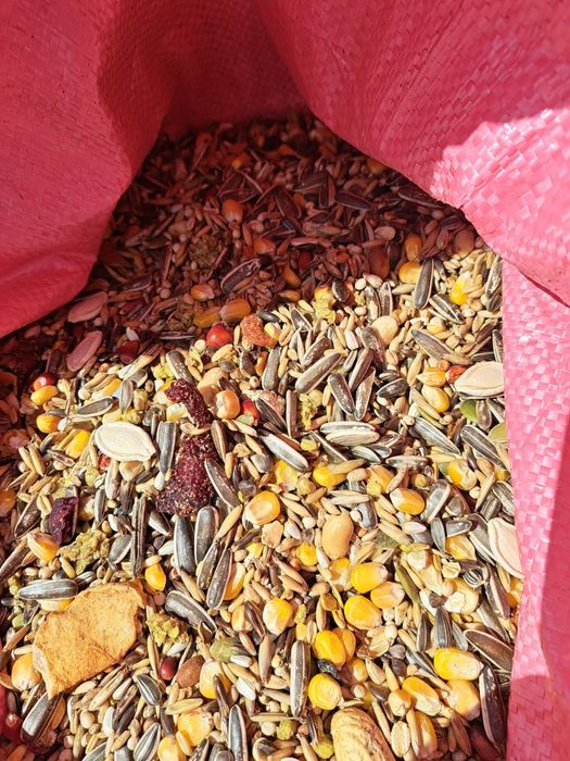 karma,mieszanka 6zł kg papuga duża 20kg za 120 zł owoce,orzechy