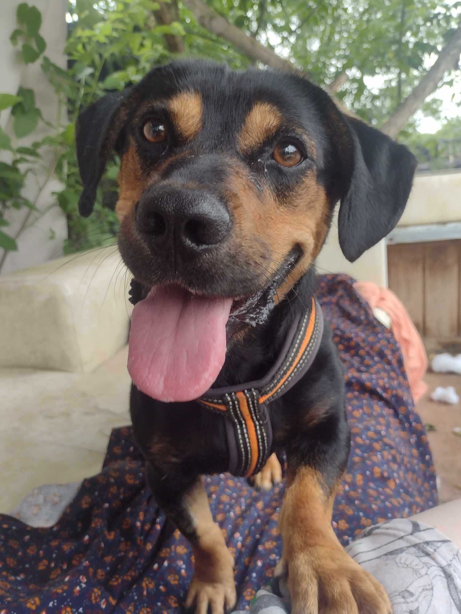 Kiwi poleca się do adopcji :)