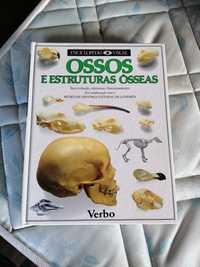 livro ossos e estruturas osseas