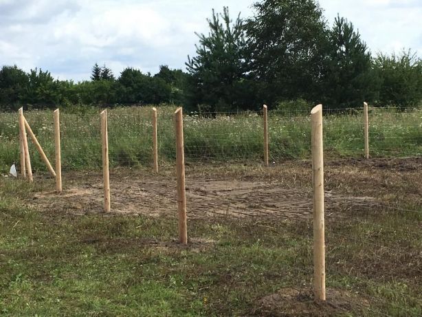 Siatka leśna ogrodzenie - działka plac budowa uprawa gospodarstwo