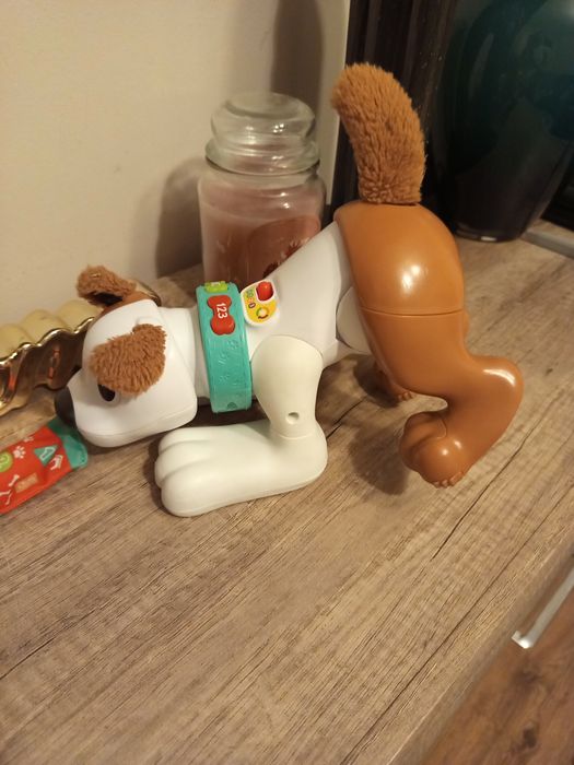 Edukacyjny Piesek „Raczkuj za mną” od Fisher-Price