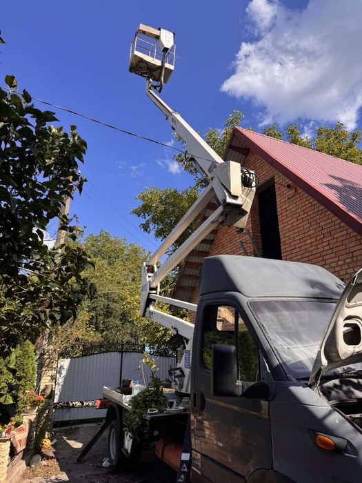 Іванко вишка (метан)