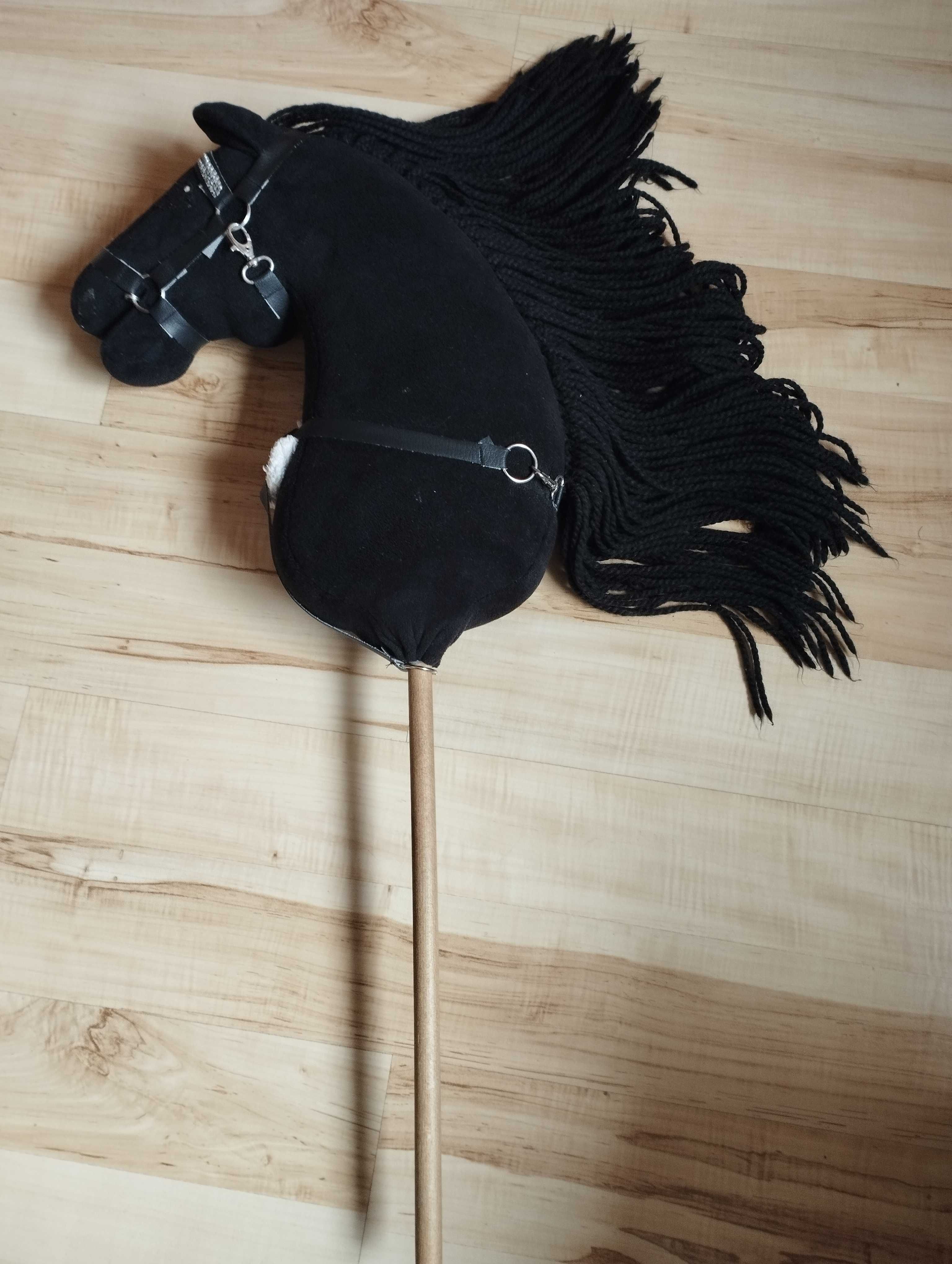 hobby horse  maści karej