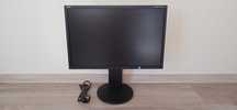 Monitor NEC MultiSync EA223WM-PIVOT