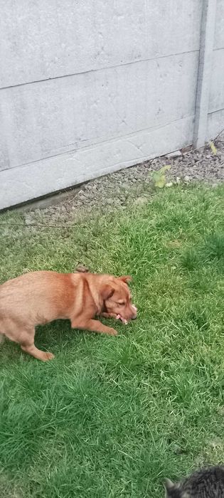 Хлопчик пів року, маленький