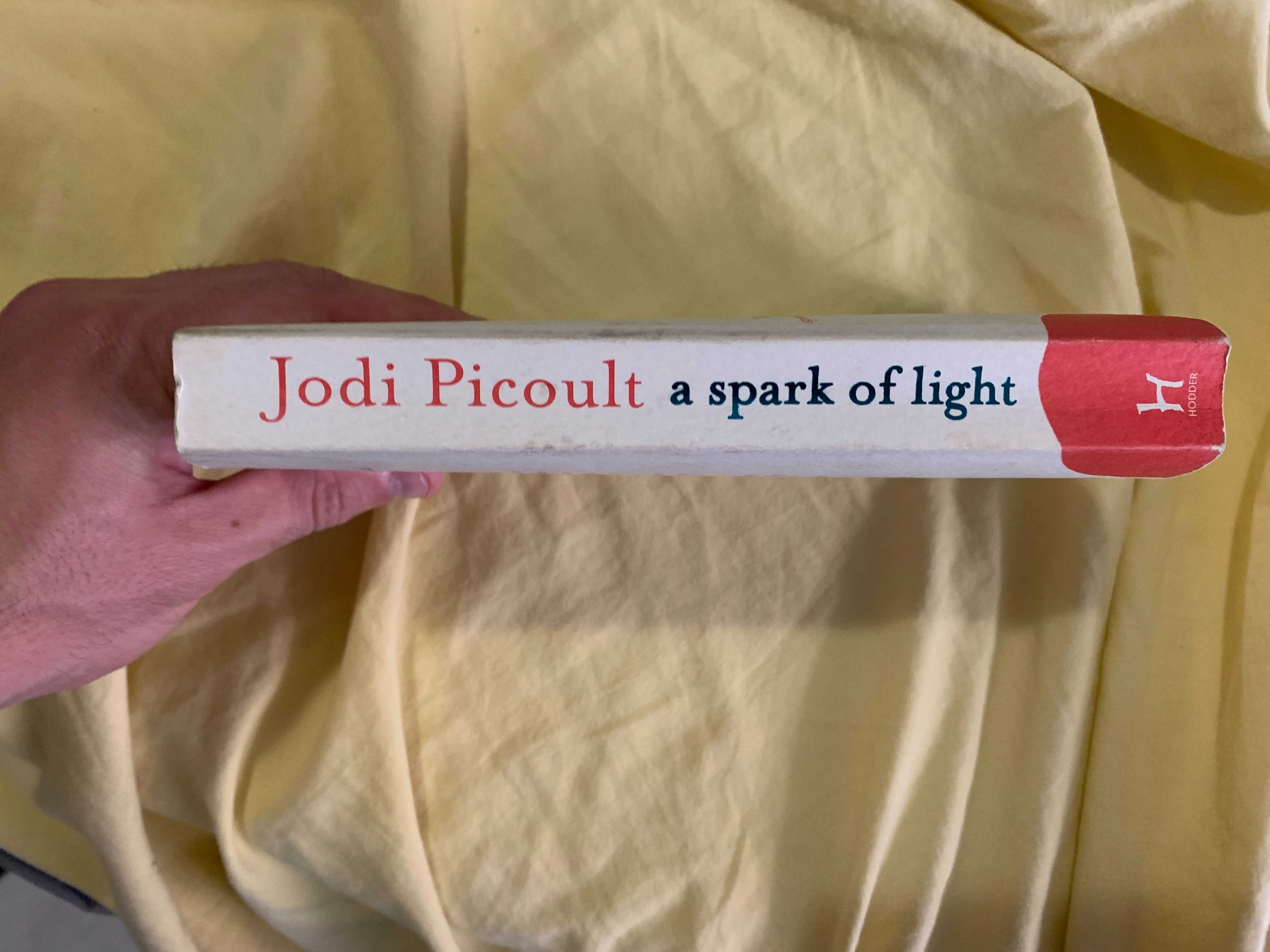 Jodi Picoult - A Spark Of Light