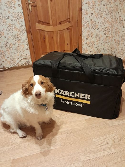 Оренда Прокат Миючий пилосос Karcher