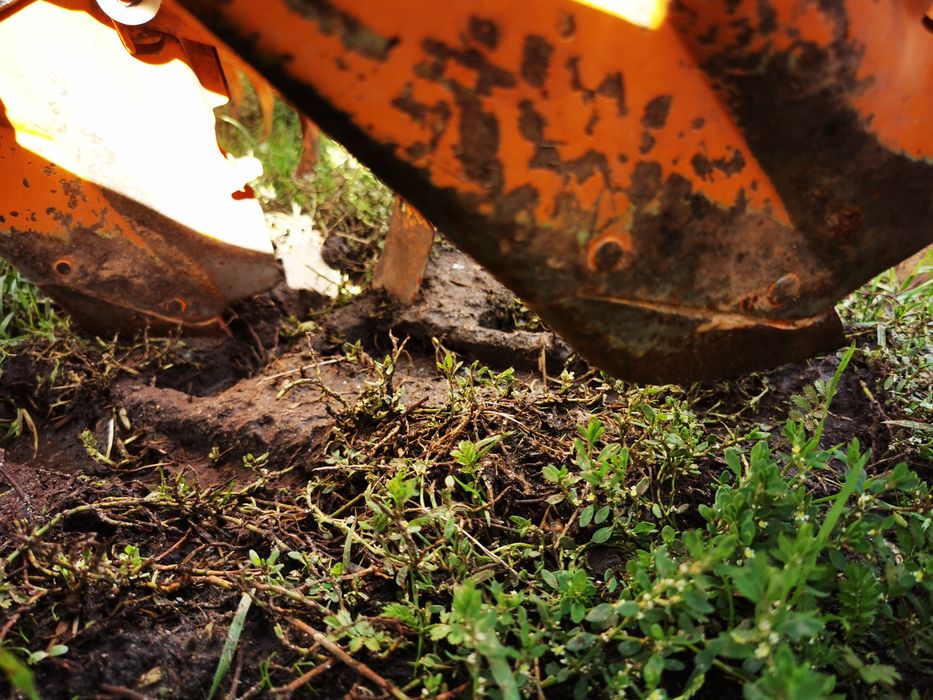 Siewnik Amazone D7 Special II 3m