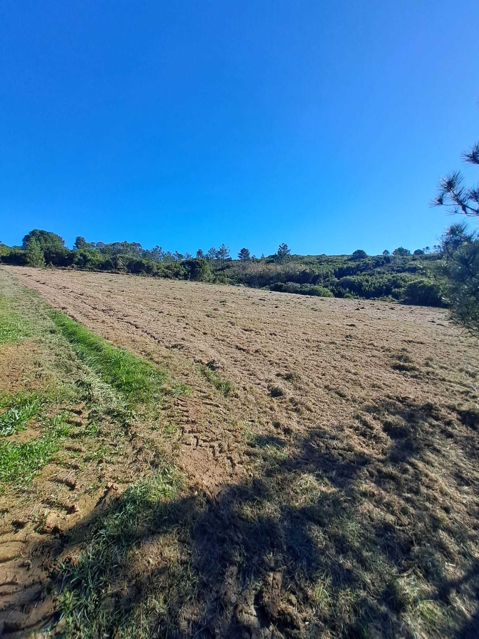 Terreno rústico em Pias Famalicão da Nazaré