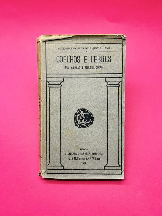 COELHOS E LEBRES: SUA CRIAÇÃO E MULTIPLICAÇÃO