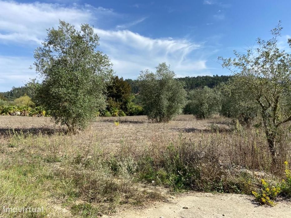 Terreno Rustico /Zona Industrial Espite / Ourem