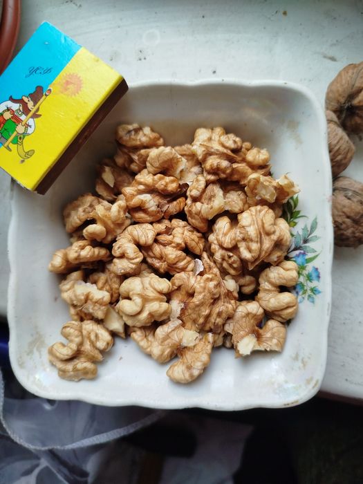 Горіх волоський 2025р