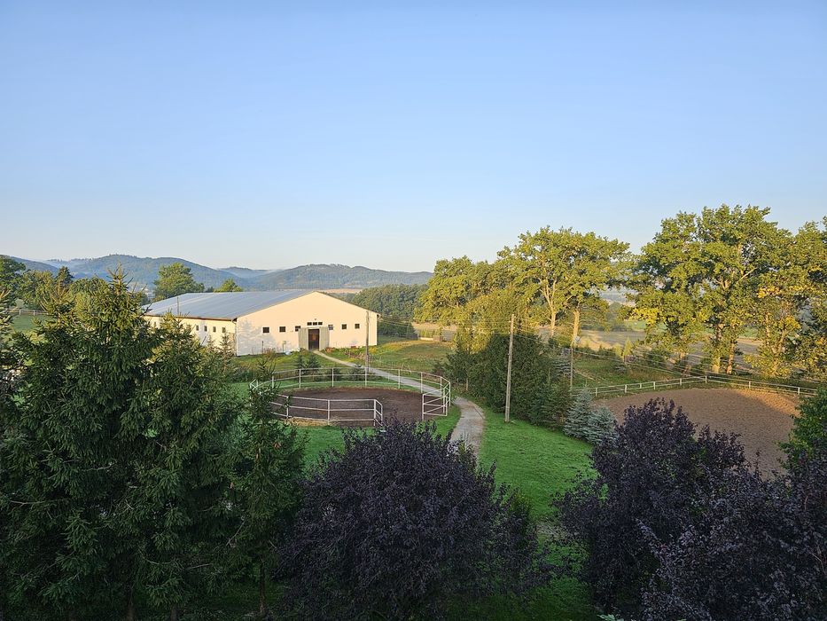 Pensjonat dla koni, hala, pastwiska, Sudety