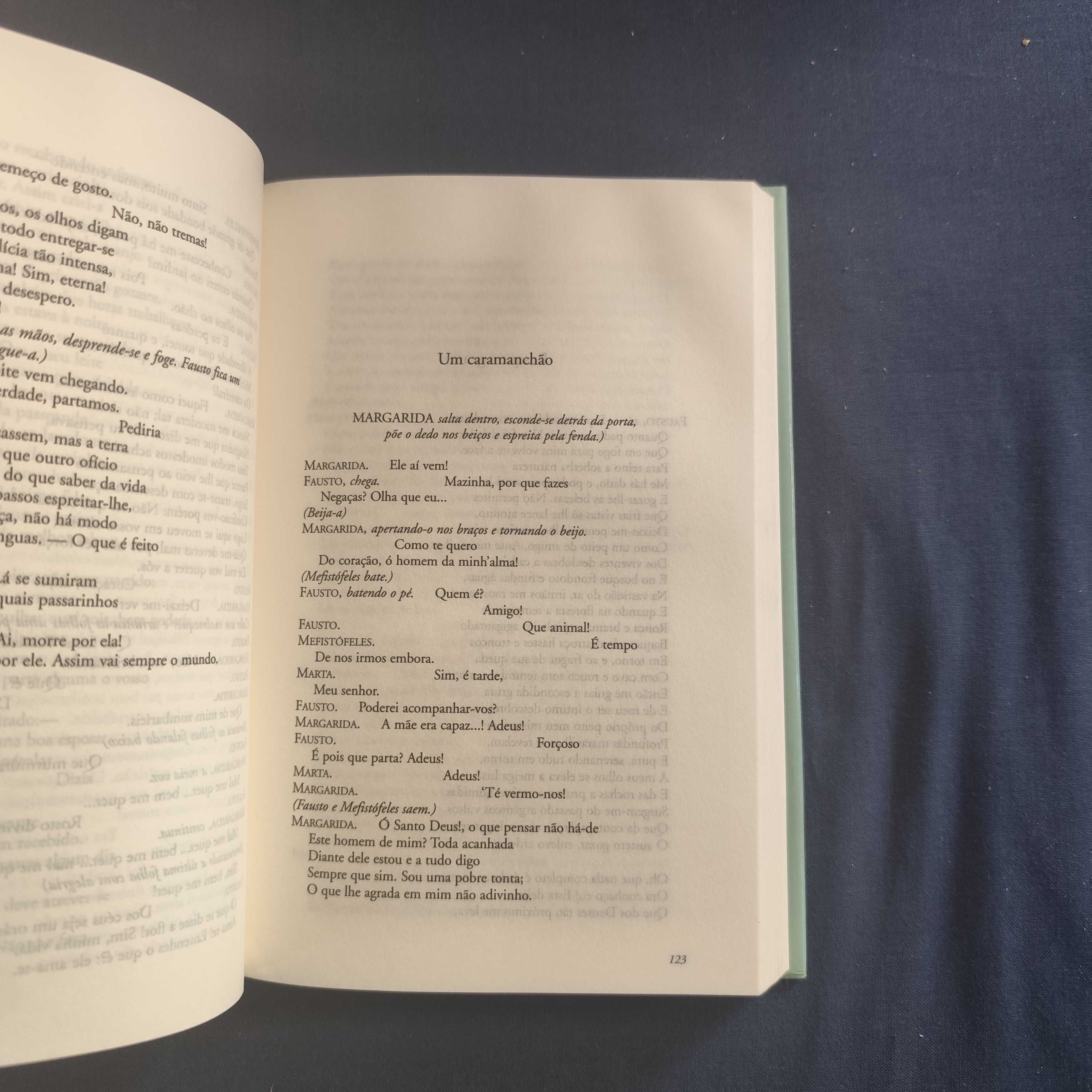 J. Wolfgang Von Goethe - Fausto