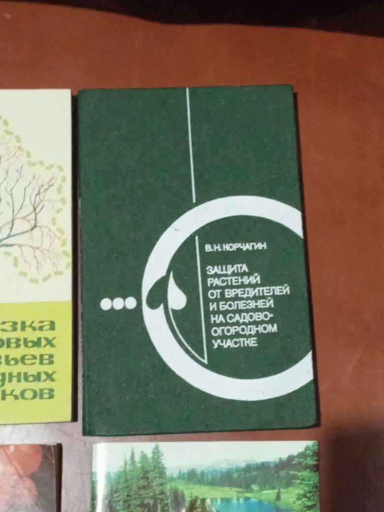 Книги - овощи, фрукты, грибы времён СССР