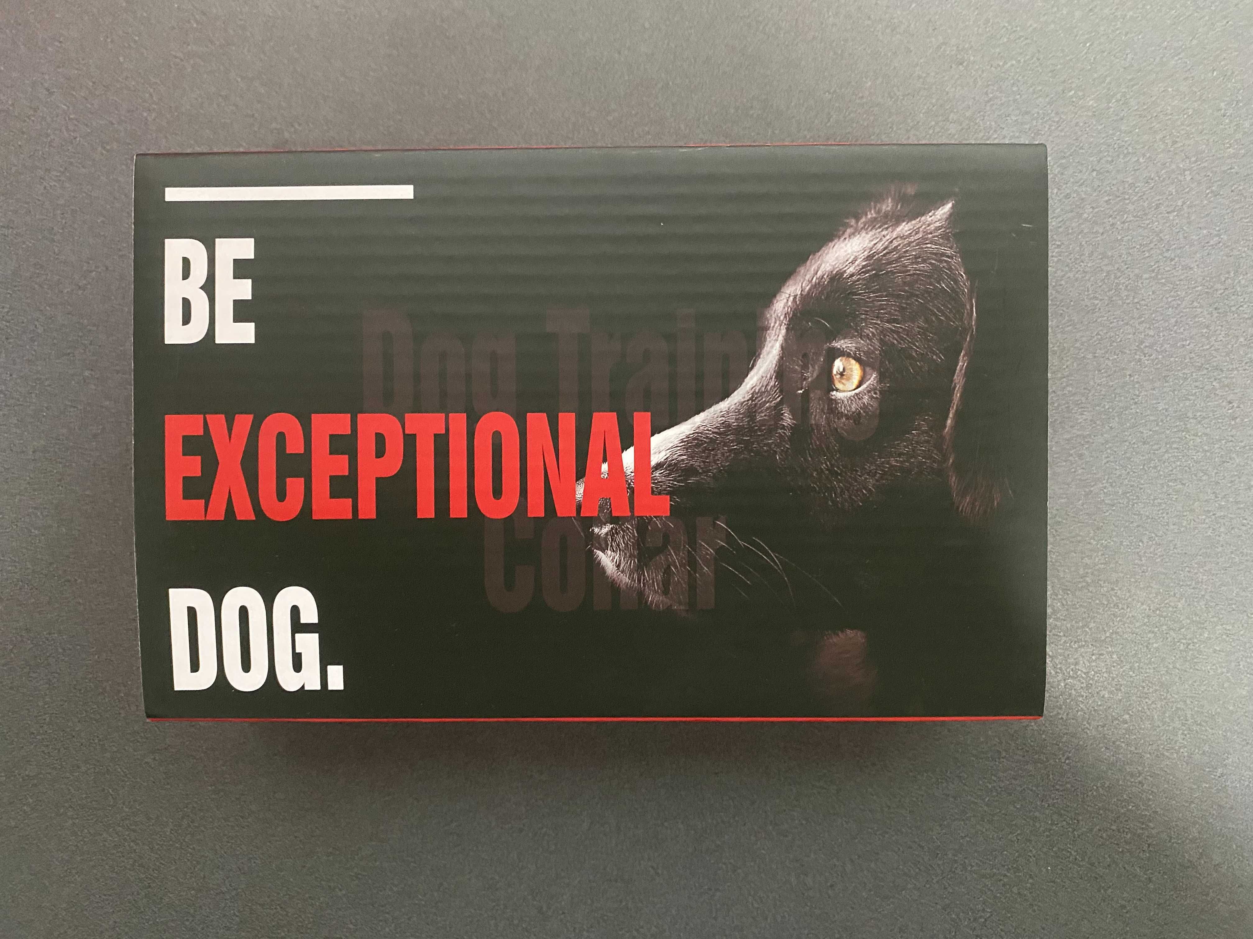 Coleira de adestramento de 1000m (1 cão)