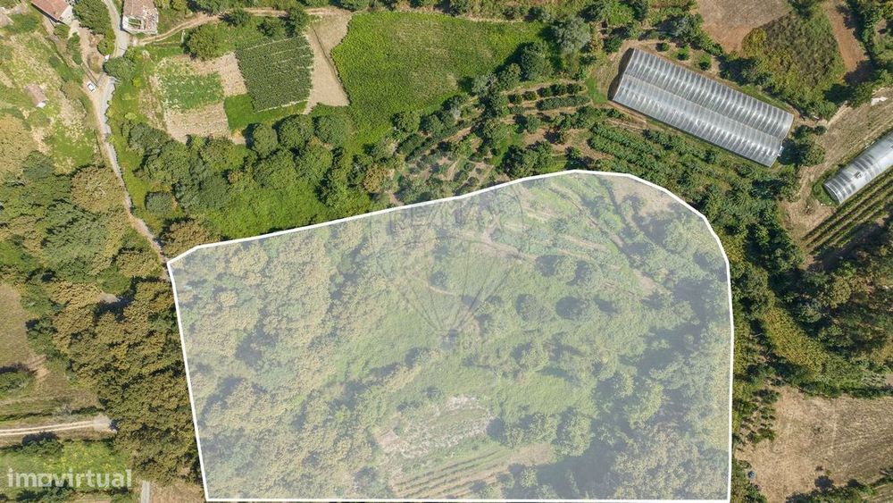 Terreno  para venda
