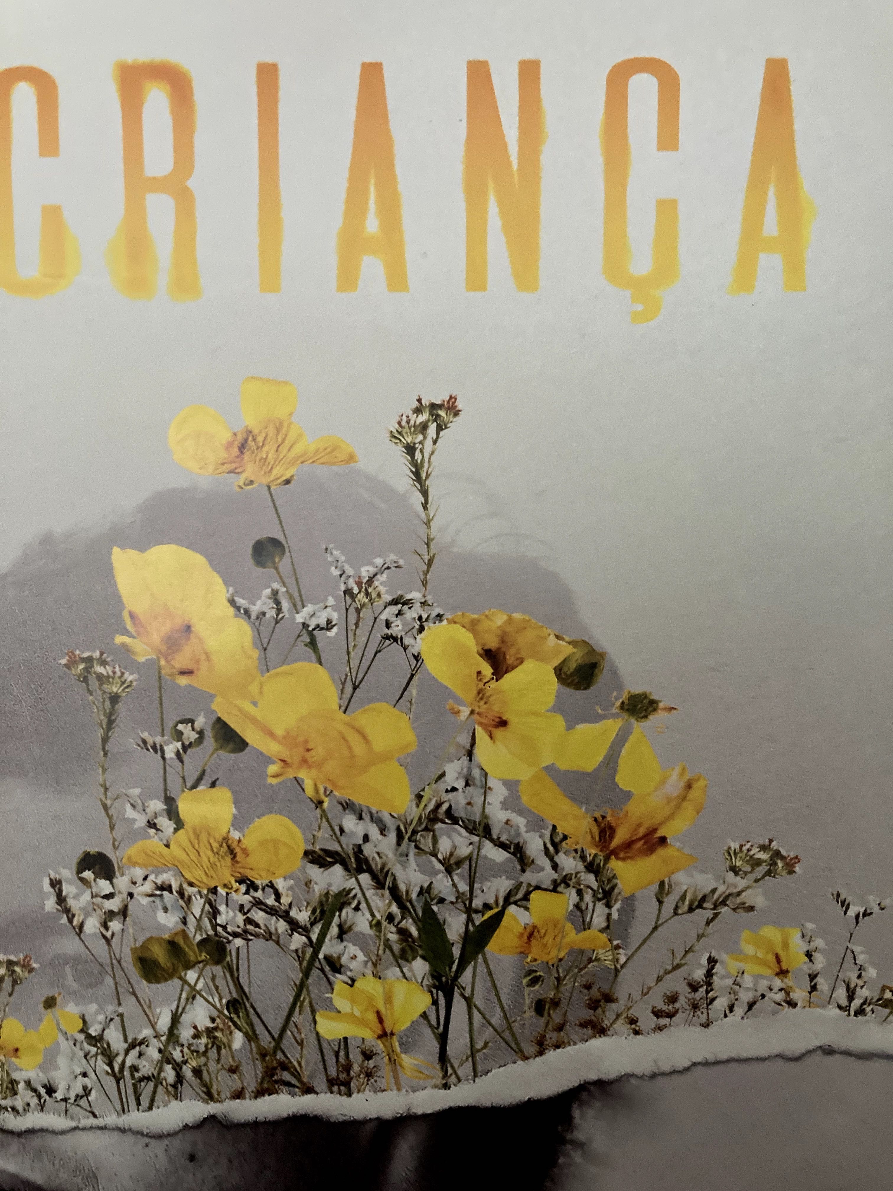POSTERS [estreias nacionais]