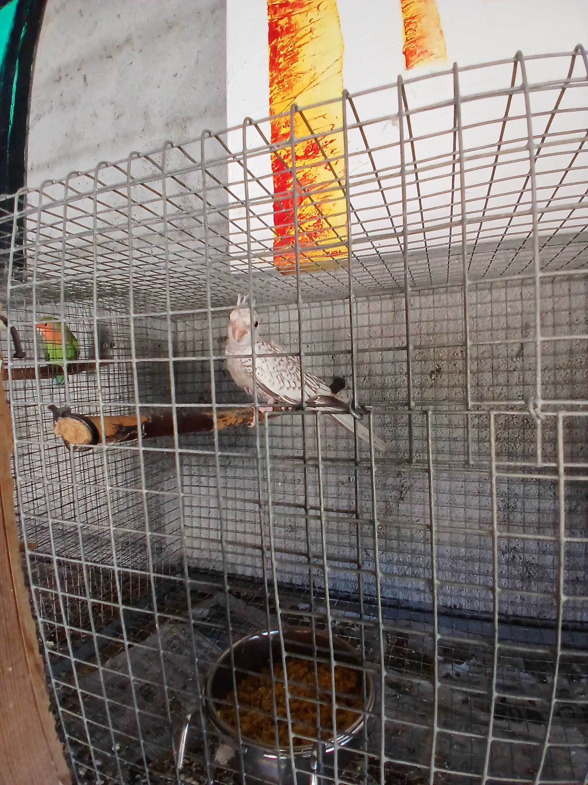 Vende se Cataturas