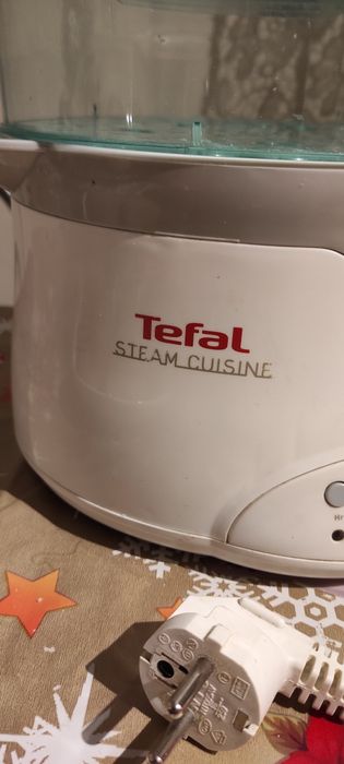 Parowar Tefal VN4000
