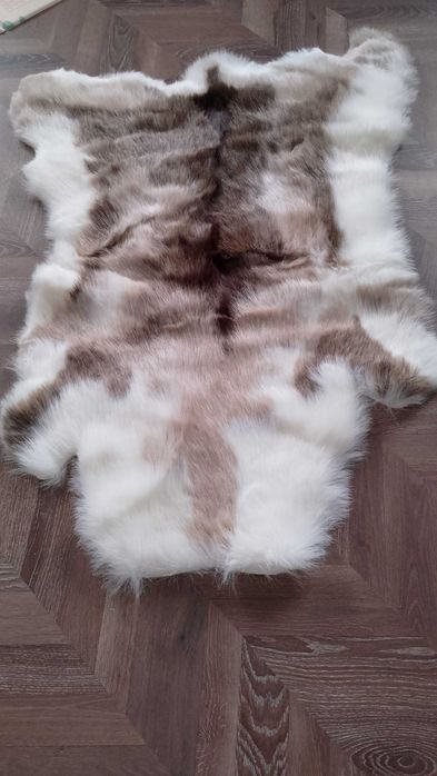 meble, drzwi, łóżko, stolik, żyrandol, obraz, stolik rtv, stary kufer