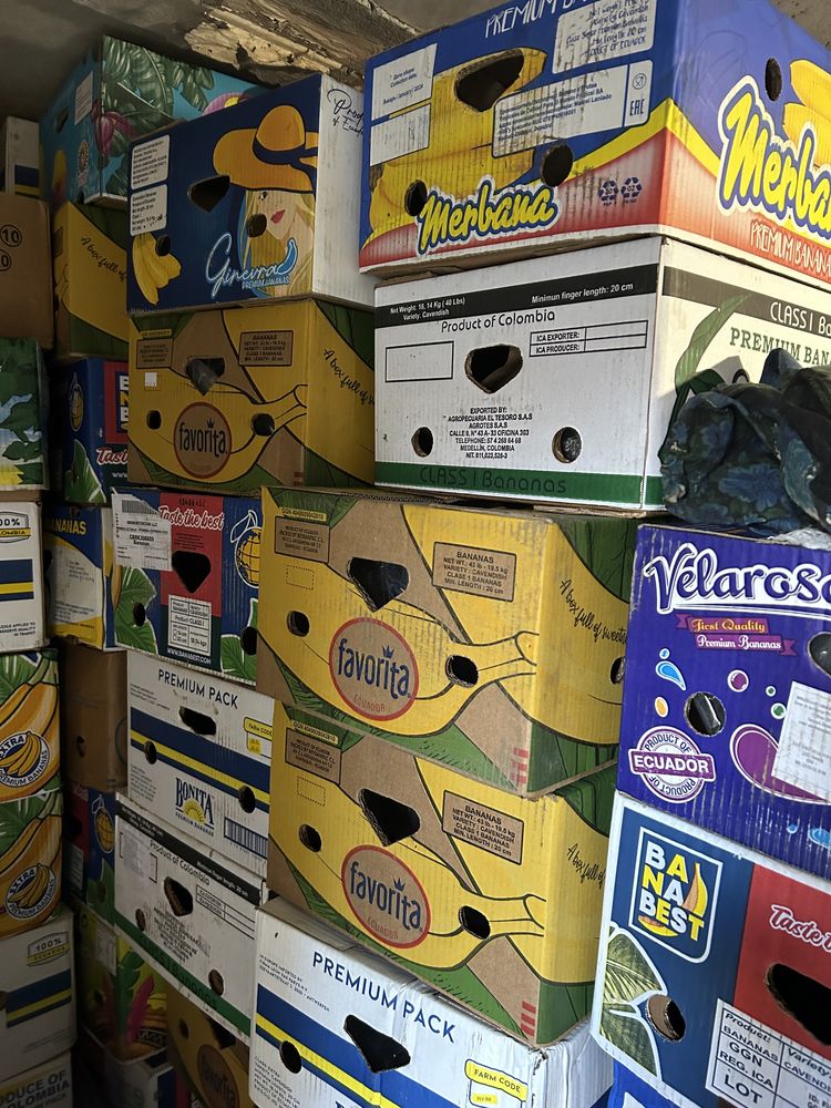 Продам ящики пластикові та бананові