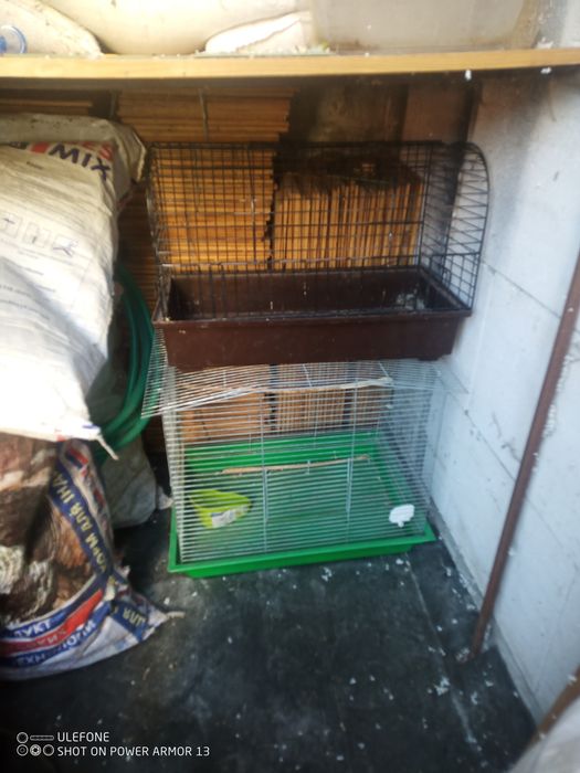 Клітки для папуг