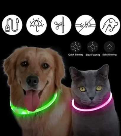 Ошейник для собак LED с зарядкой USB Светящийся ошейник