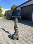 Hulajnoga Scoot and Ride czarna
