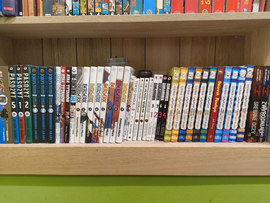 Mangi i książki stan dobry