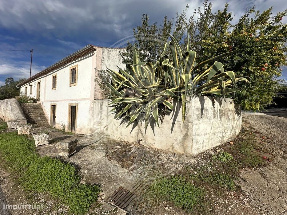 Antiga adega para renovar - charme autêntico, amplas dependências e...