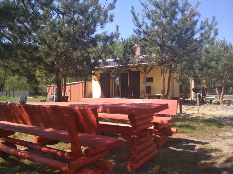 Domek za cały całoroczny nad jeziorem.Bory Tucholskie za cały 135zł