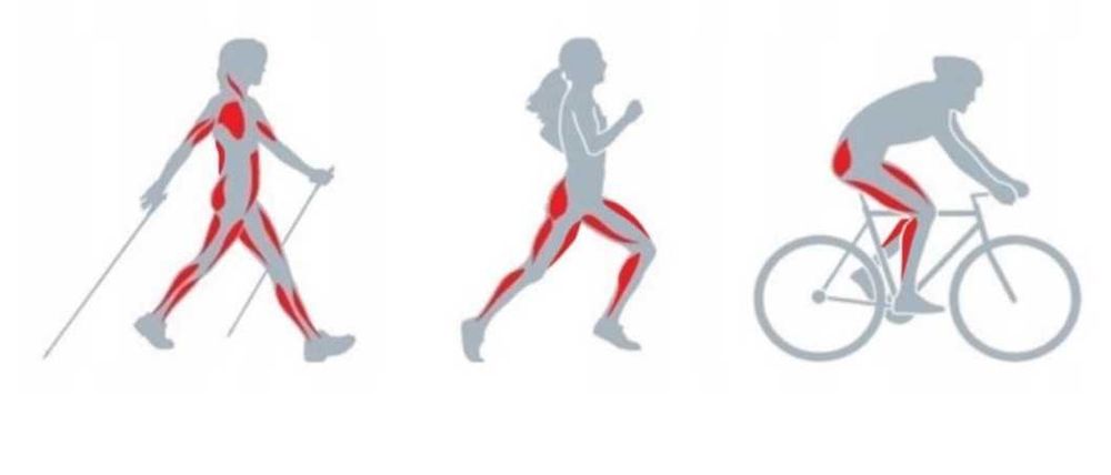 Kije trekkingowe nordic walking para + akcesoria - zestaw 2szt