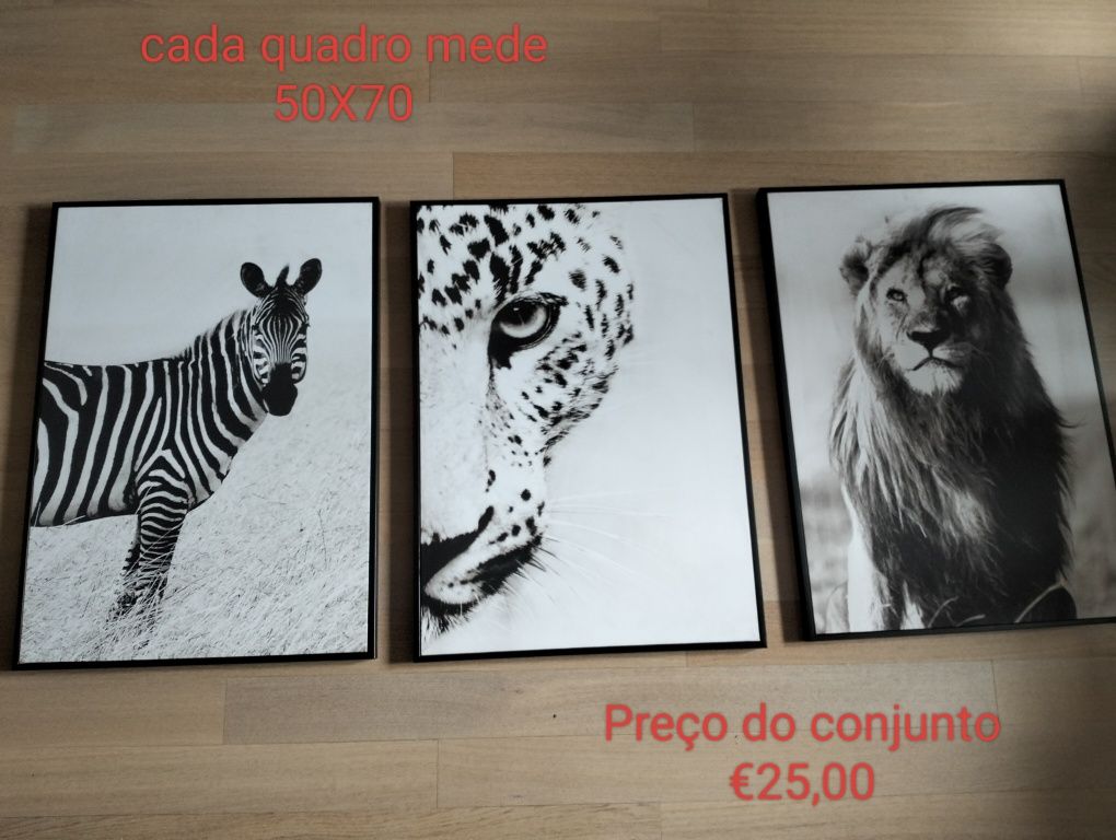 Quadros / Telas/Molduras