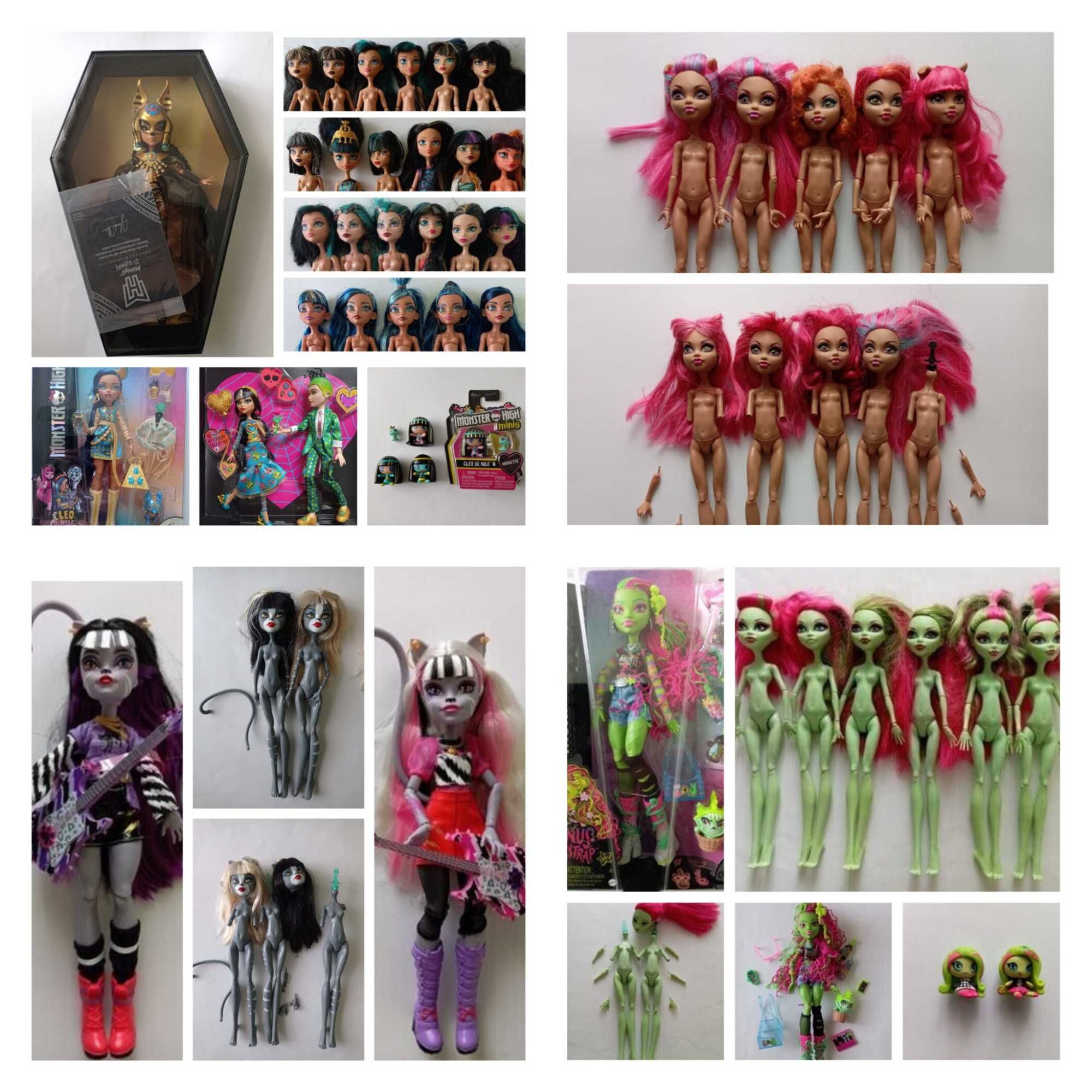 Кукла Монстер хай monster high питомец запчасти.