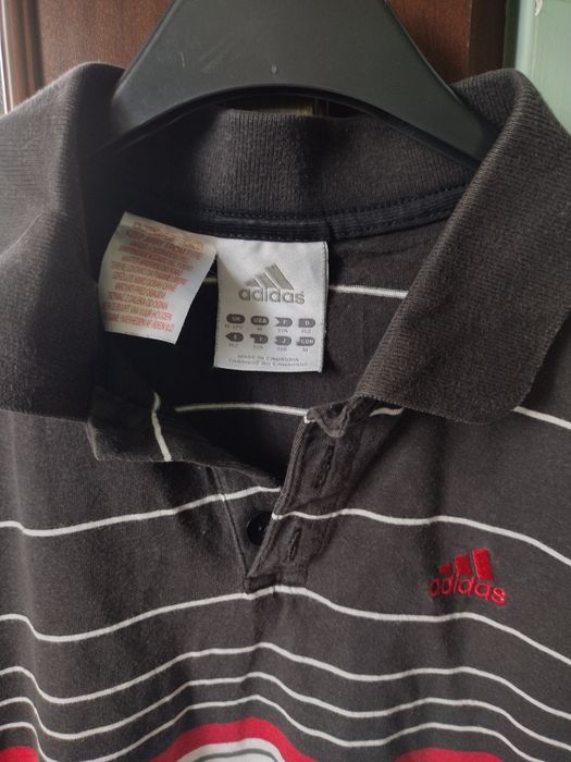 Koszulka Polo Adidas