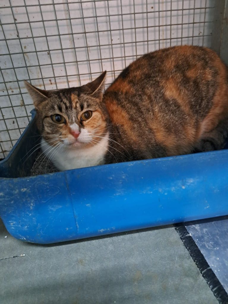 Menina em pânico precisa de relaxar e familia para toda vida