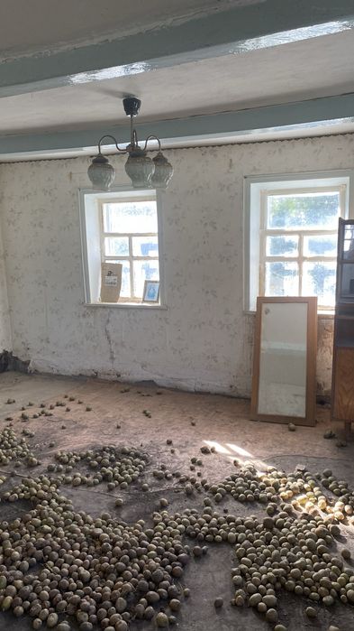 Два будинка в с.Недогарки