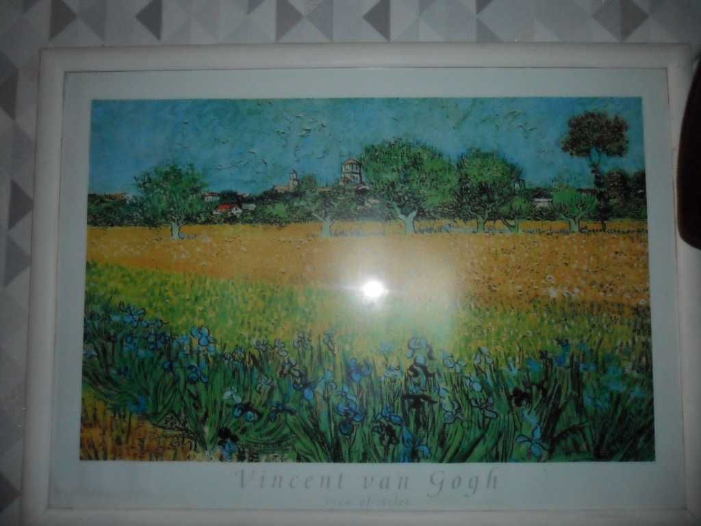 Reprodukcja Vincent van Gogh-View of Arles