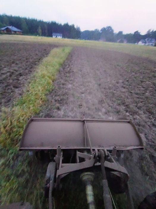 Czyszczenie działek, ogrodzenia tymczasowe, cięcie drewna, sprzątanie