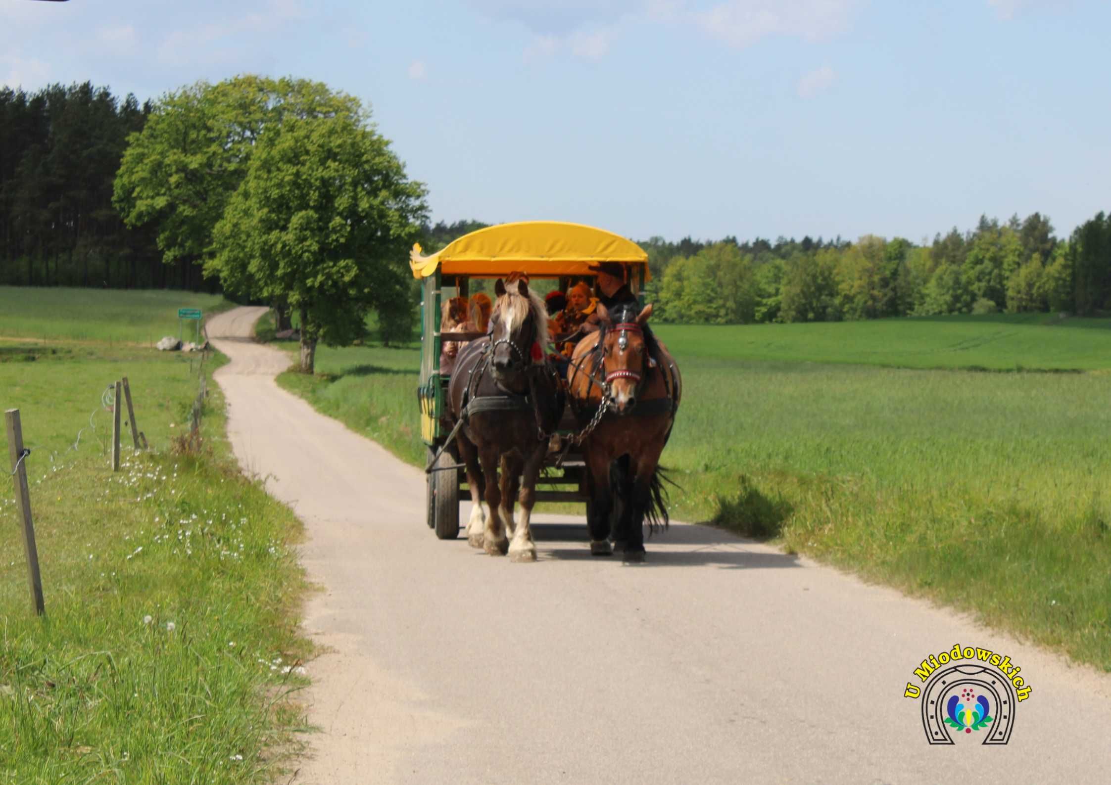 wolne pokoje, agroturystyka z zwierzętami, wyżywienie, Kaszuby