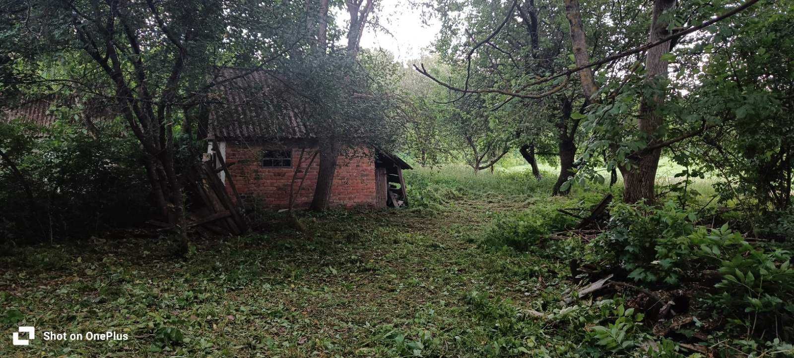 Надам житло безкоштовно