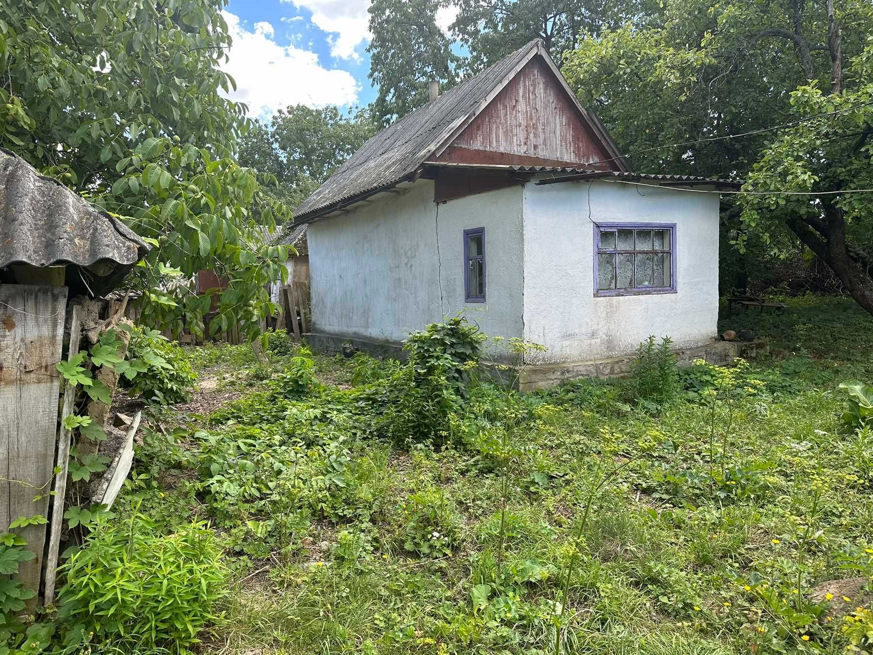 (7) Продам земельну ділянку в селі Тютьки 0102